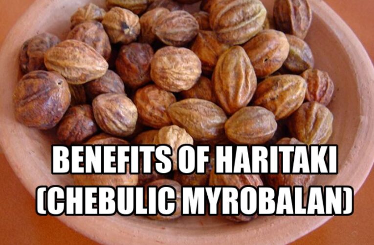Benefits of Haritaki  हरड़ (Chebulic myrobalan) Indian Gall Nut